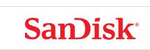 Sandisk/闪迪